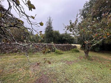 Maison a vendre Theix-Noyalo 56450 Morbihan 112 m2 6 pièces 394143 euros