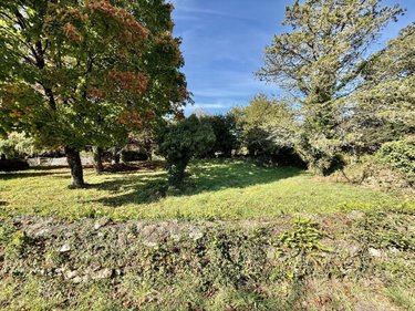 Maison a vendre Pluneret 56400 Morbihan 34 m2 1 pièce 96000 euros