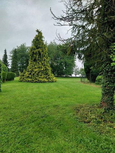 Terrain a batir a vendre Berles-Monchel 62690 Pas-de-Calais 8680 m2  155000 euros