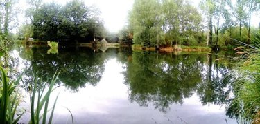 Terrains de loisirs bois etangs a vendre Le Croisty 56540 Morbihan 15350 m2  74400 euros