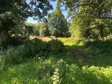 Terrains de loisirs bois etangs a vendre Martinvast 50690 Manche 7346 m2  19080 euros