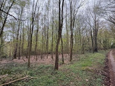 Divers a vendre Fumichon 14590 Calvados 17939 m2  19500 euros