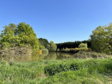 Divers a vendre Freigné 44540 Loire-Atlantique 671 m2  270400 euros