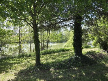 Terrains de loisirs bois etangs a vendre La Roche-Neuville 53200 Mayenne 31445 m2  95700 euros