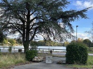 Maison a vendre Hédé Bazouges 35630 Ille-et-Vilaine 124 m2  290500 euros