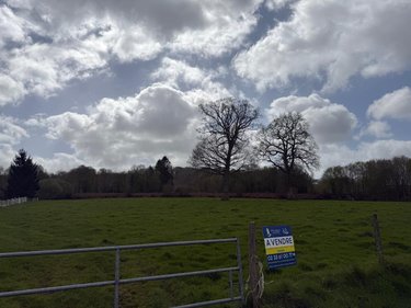 Terrains de loisirs bois etangs a vendre Saint-Aubin-des-Bois 14380 Calvados 76778 m2  82715 euros