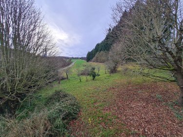 Maison a vendre Ternay 41800 Loir-et-Cher 145 m2 5 pièces 145460 euros