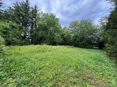 Terrain a batir a vendre Delle 90100 Territoire de Belfort 1100 m2  33000 euros