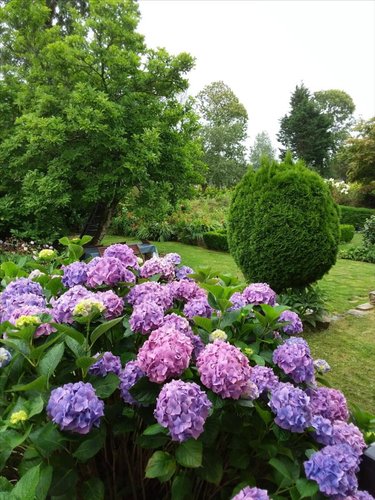 Maison a vendre Le Saint 56110 Morbihan 183 m2 6 pièces 336000 euros