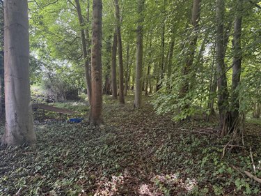 Terrains de loisirs bois etangs a vendre Vers sur Selle 80480 Somme 1710 m2  7500 euros