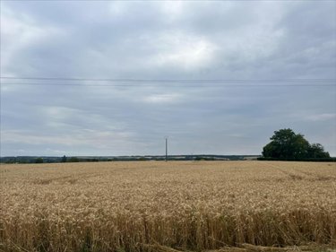 Terrain a batir a vendre Trogues 37220 Indre-et-Loire 3090 m2  62600 euros