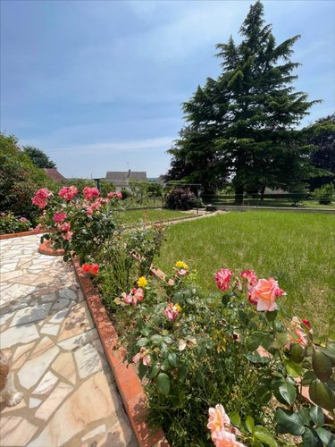 Location maison Saint-Ouen 41100 Loir-et-Cher 74 m2 3 pièces 825 euros