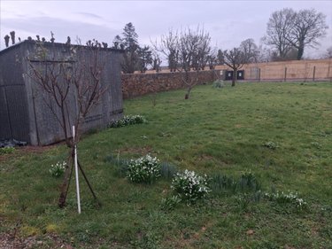 Location maison Varenguebec 50250 Manche 93 m2 3 pièces 630 euros