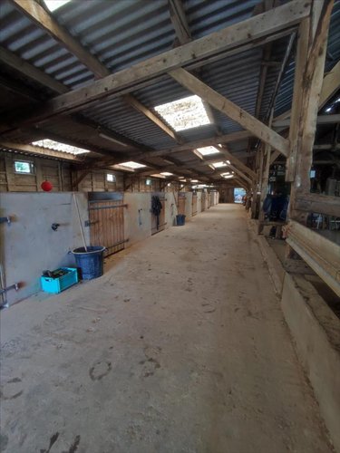 Maison a vendre Erbrée 35500 Ille-et-Vilaine 240 m2 5 pièces 468900 euros