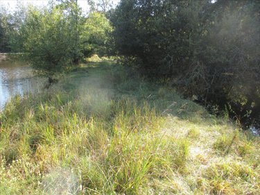 Terrains de loisirs bois etangs a vendre Fleurey-lès-Faverney 70160 Haute-Saône 12498 m2  97000 euros