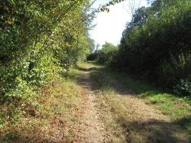 Terrains de loisirs bois etangs a vendre Fleurey-lès-Faverney 70160 Haute-Saône 12498 m2  97000 euros