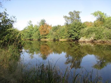 Terrains de loisirs bois etangs a vendre Fleurey-lès-Faverney 70160 Haute-Saône 12498 m2  97000 euros