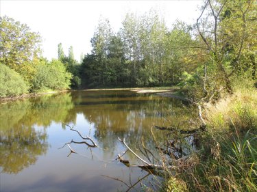 Terrains de loisirs bois etangs a vendre Fleurey-lès-Faverney 70160 Haute-Saône 12498 m2  97000 euros