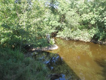 Terrains de loisirs bois etangs a vendre Fleurey-lès-Faverney 70160 Haute-Saône 12498 m2  97000 euros