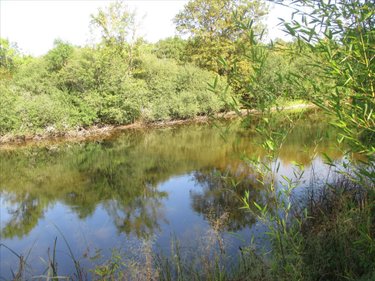 Terrains de loisirs bois etangs a vendre Fleurey-lès-Faverney 70160 Haute-Saône 12498 m2  97000 euros