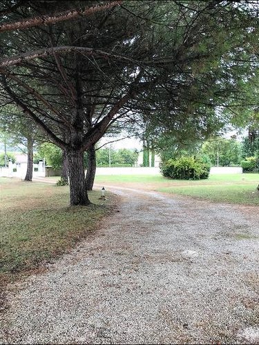 Maison a vendre Barbezieux-Saint-Hilaire 16300 Charente 242 m2 5 pièces 399000 euros