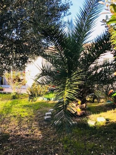 Maison a vendre Rochefort 17300 Charente-Maritime 105 m2 5 pièces 250000 euros