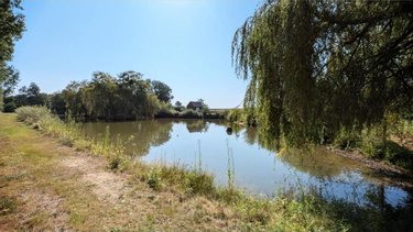 Maison a vendre Janzé 35150 Ille-et-Vilaine 300 m2 10 pièces 631350 euros