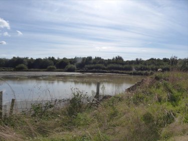 Terrains de loisirs bois etangs a vendre Pirou 50770 Manche 12000 m2  189600 euros