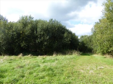 Terrains de loisirs bois etangs a vendre Pirou 50770 Manche 12000 m2  189600 euros