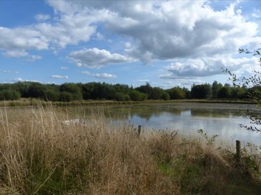 Terrains de loisirs bois etangs a vendre Pirou 50770 Manche 12000 m2  189600 euros