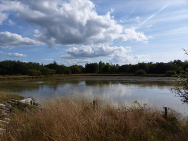 Terrains de loisirs bois etangs a vendre Pirou 50770 Manche 12000 m2  189600 euros