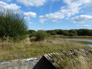 Terrains de loisirs bois etangs a vendre Pirou 50770 Manche 12000 m2  189600 euros