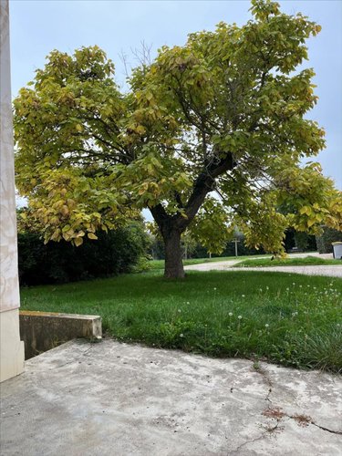 Maison a vendre Rignieux-le-Franc 01800 Ain 211 m2 6 pièces 280000 euros