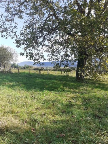 Terrain a batir a vendre Buthiers 70190 Haute-Saône 890 m2  67000 euros