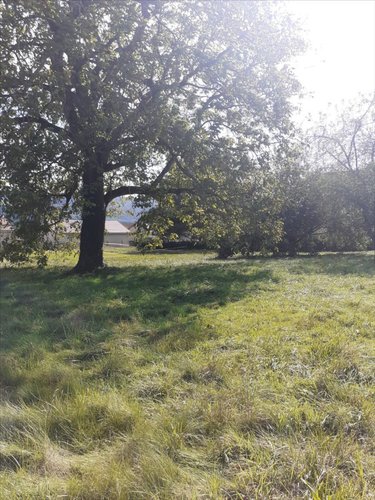 Terrain a batir a vendre Buthiers 70190 Haute-Saône 890 m2  67000 euros