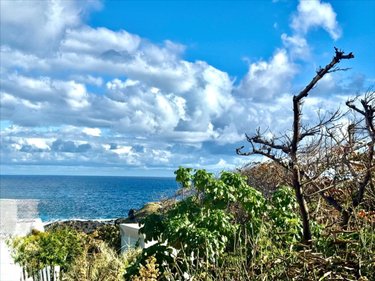 Terrain a batir a vendre Saint-Pierre 97410 Réunion 524 m2  262500 euros
