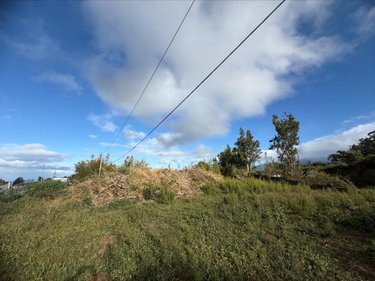 Terrain a batir a vendre Le Tampon 97430 Réunion 920 m2  147700 euros