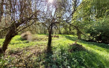 Maison a vendre Plounévézel 29270 Finistère 216 m2 5 pièces 131250 euros