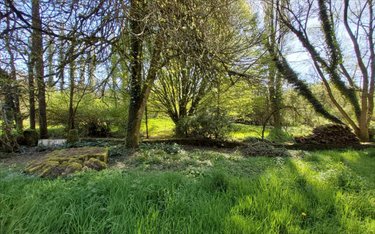 Maison a vendre Plounévézel 29270 Finistère 216 m2 5 pièces 131250 euros