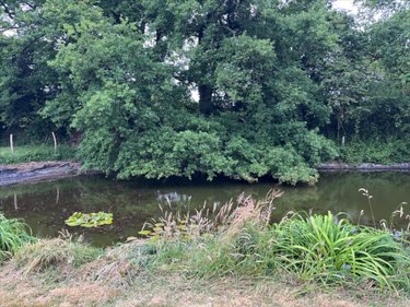 Maison a vendre La Brûlatte 53410 Mayenne 120 m2 5 pièces 260500 euros