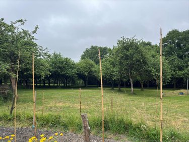 Maison a vendre La Brûlatte 53410 Mayenne 120 m2 5 pièces 260500 euros