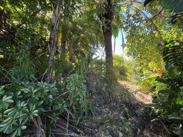 Terrain a batir a vendre Saint-Pierre 97410 Réunion 902 m2  325000 euros