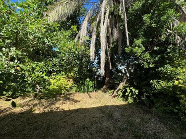 Terrain a batir a vendre Saint-Pierre 97410 Réunion 902 m2  325000 euros