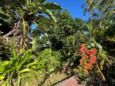 Terrain a batir a vendre Saint-Pierre 97410 Réunion 902 m2  325000 euros