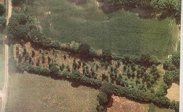 Bien agricole a vendre Besneville 50390 Manche  9648 euros
