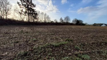 Terrain a batir a vendre Cléden-Poher 29270 Finistère 7243 m2  53235 euros