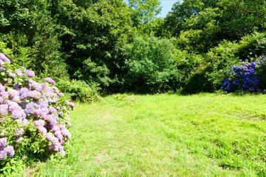 Maison a vendre Plouégat-Moysan 29650 Finistère 55 m2 3 pièces 68322 euros