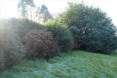 Maison a vendre Plouégat-Moysan 29650 Finistère 55 m2 3 pièces 68322 euros