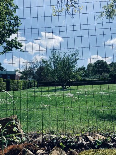 Terrain a batir a vendre Niort 79000 Deux-Sèvres 1125 m2  106312 euros