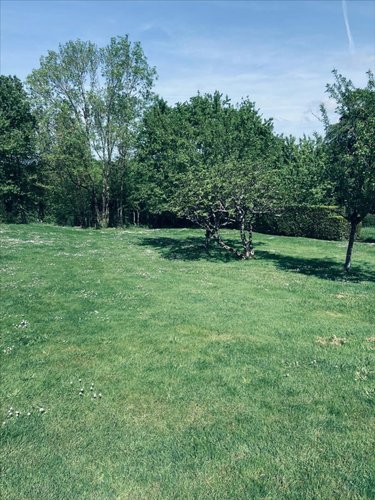 Terrain a batir a vendre Niort 79000 Deux-Sèvres 1125 m2  106312 euros